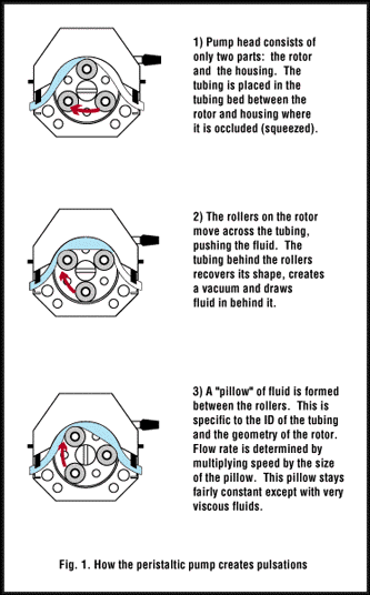 Diagram - How Peristaltic Pumps Create Pulsations